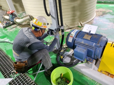 Installation of conduit and additional pull box for leak detector wiring and maintenance